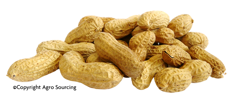 Amandes