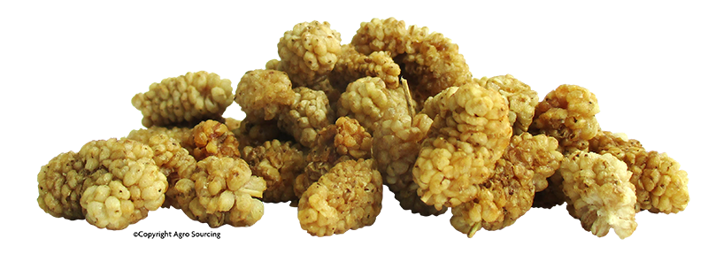 Mulberries (mûres blanches)