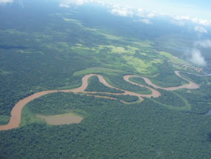 Noix d'Amazonie Equitable